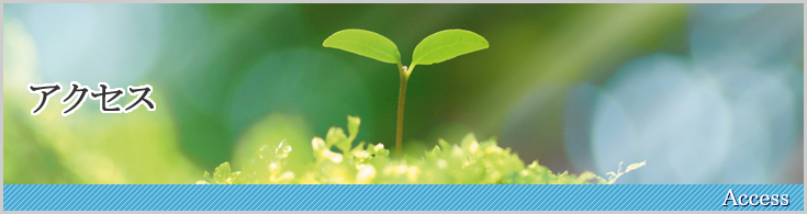アクセス